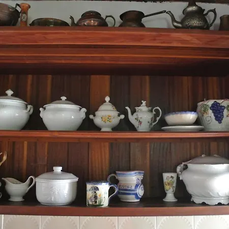 公寓 Casa Galiola 罗维尼