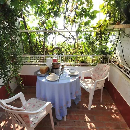 Casa Galiola 罗维尼